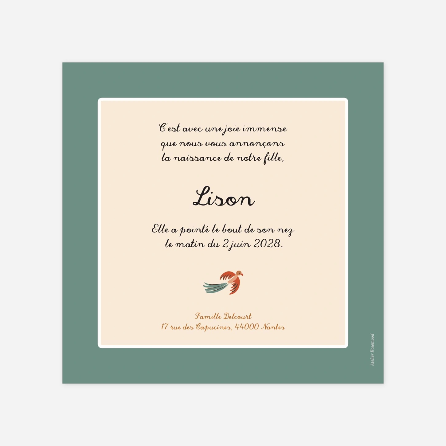 Faire-part naissance Petite jungle