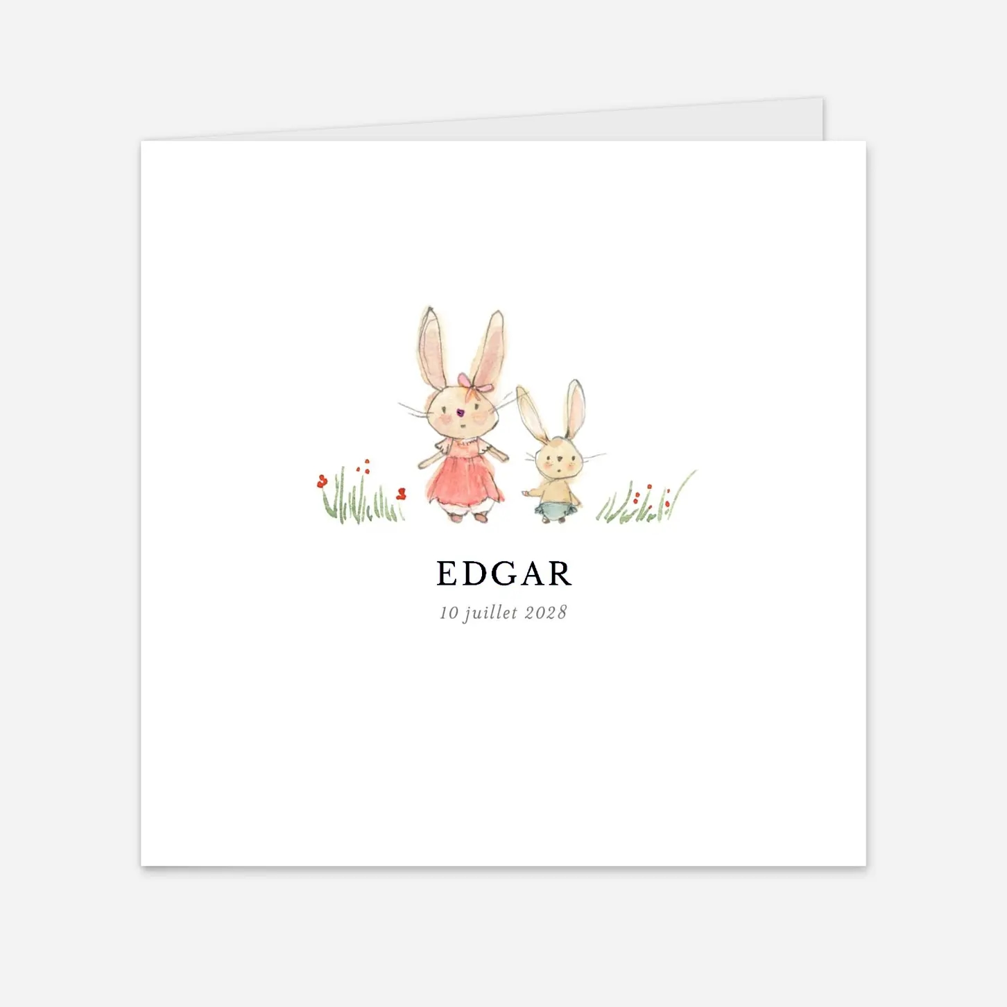 Faire-part naissance Petits lapins