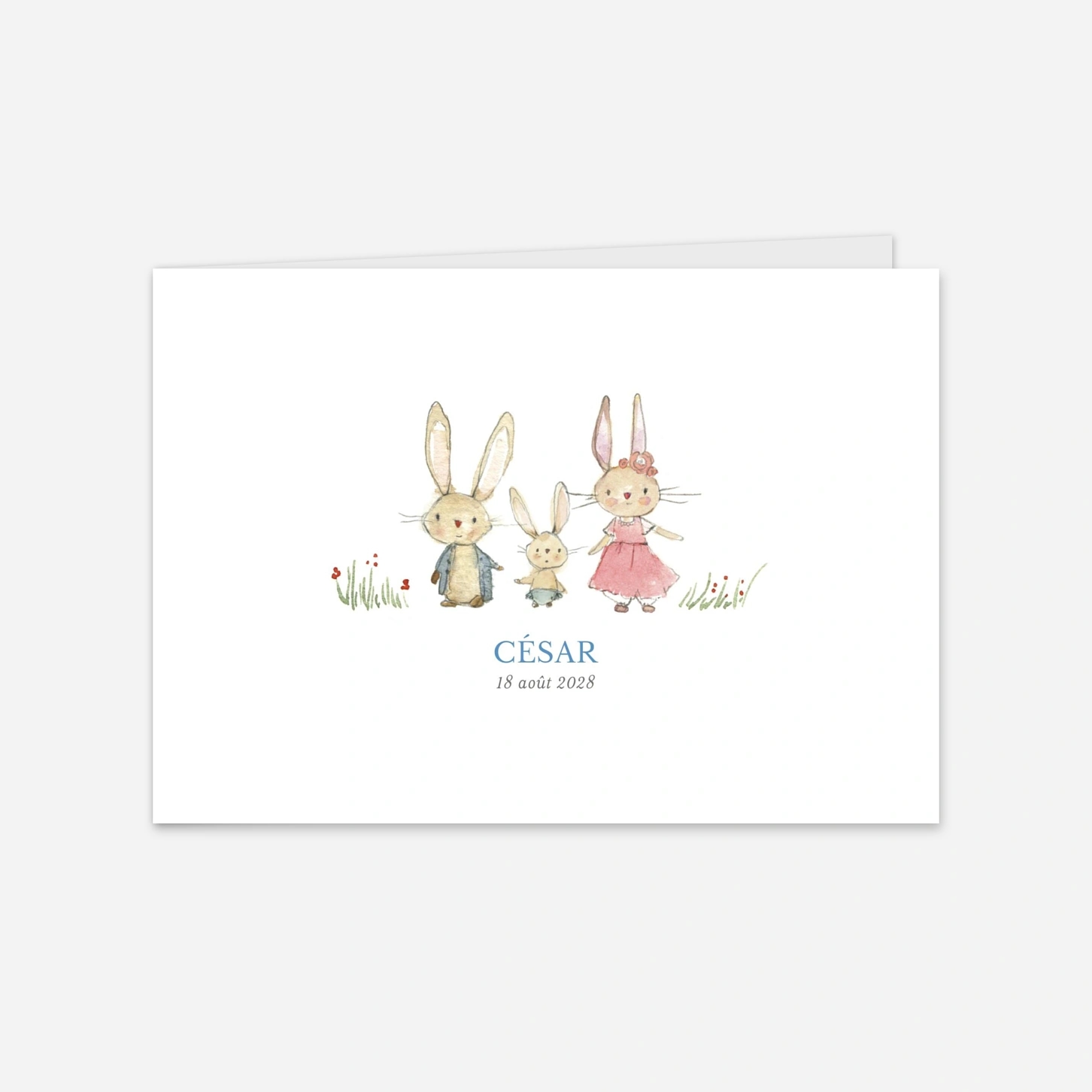 Faire-part naissance Petits lapins