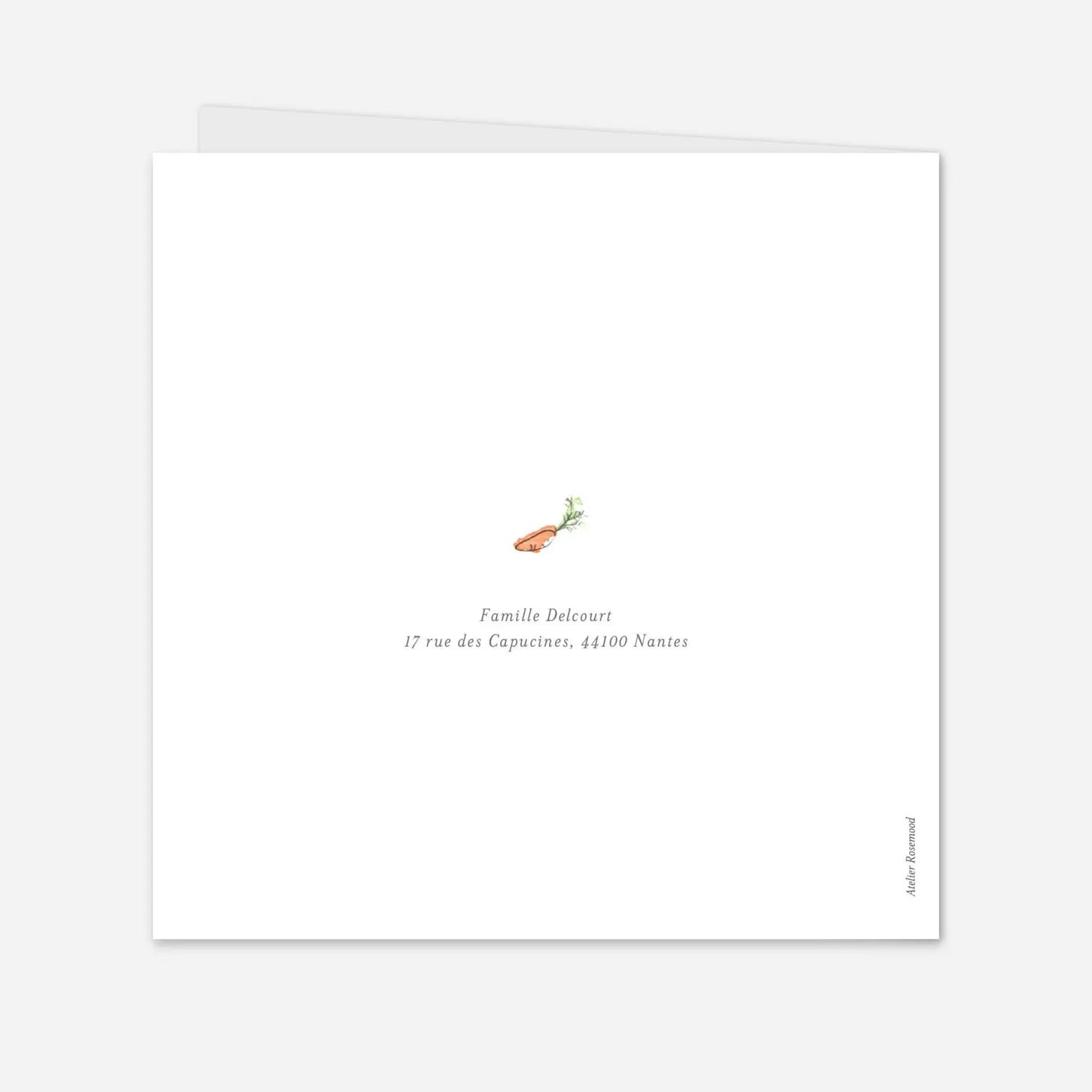 Faire-part naissance Petits lapins