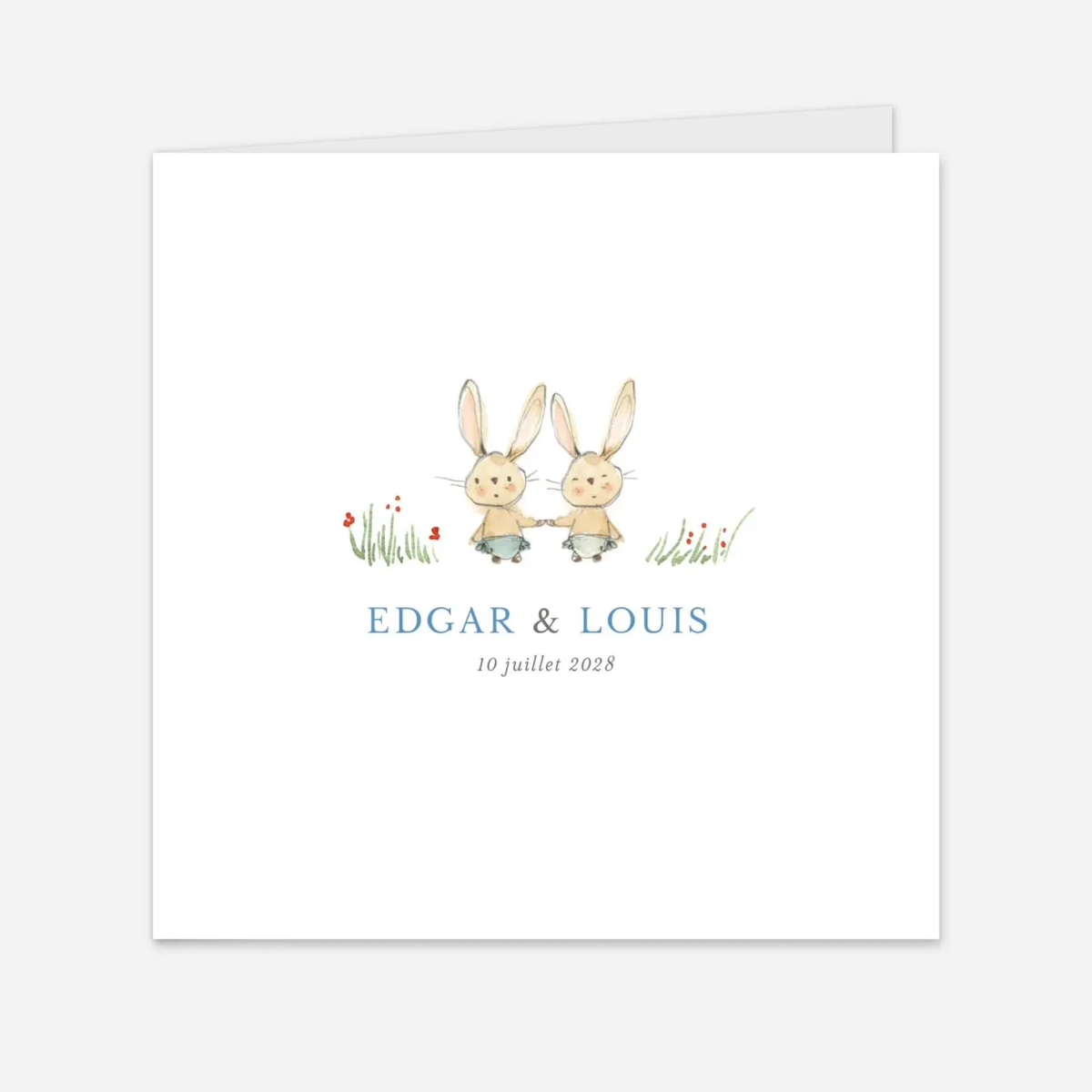 Faire-part naissance Petits lapins jumeaux