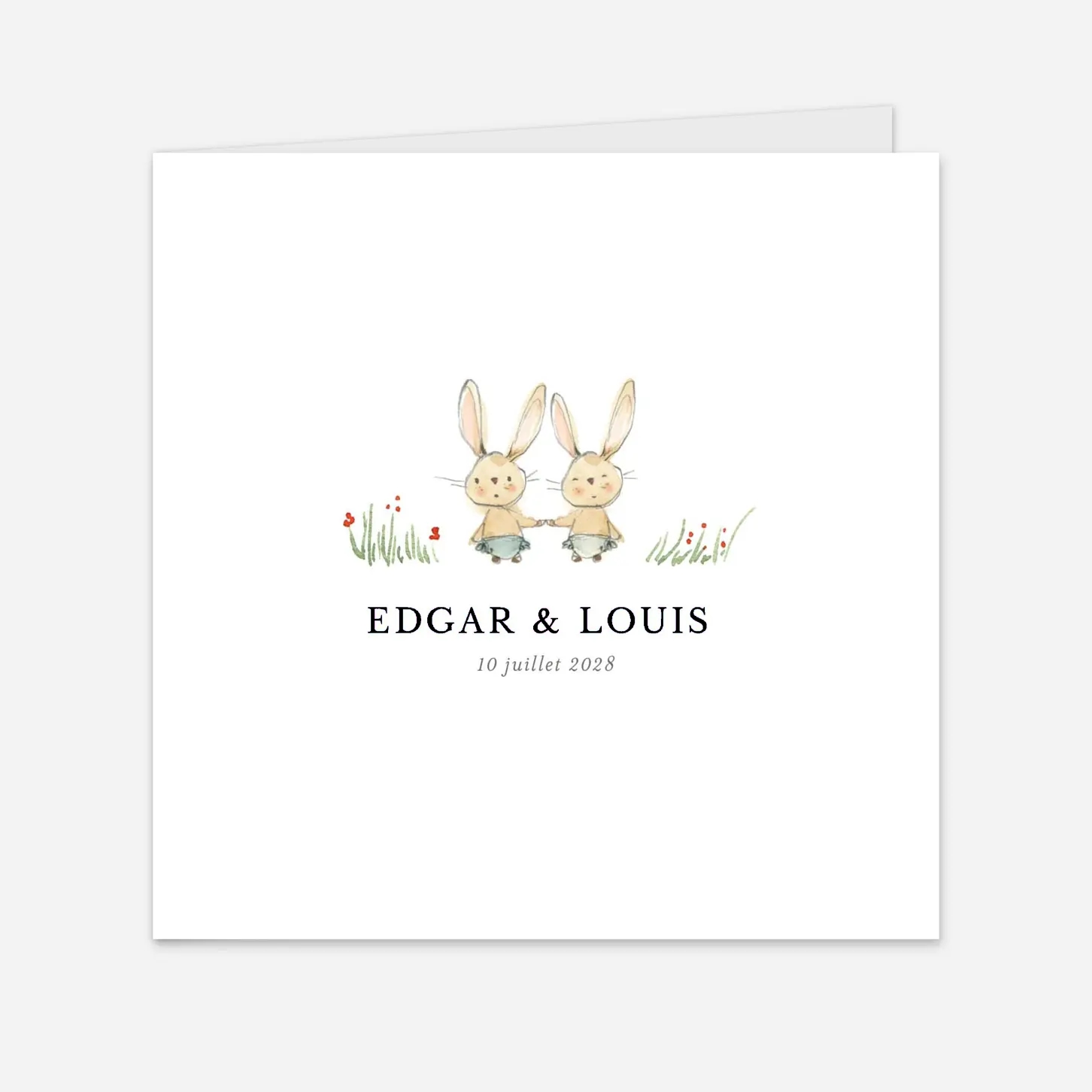 Faire-part naissance Petits lapins jumeaux