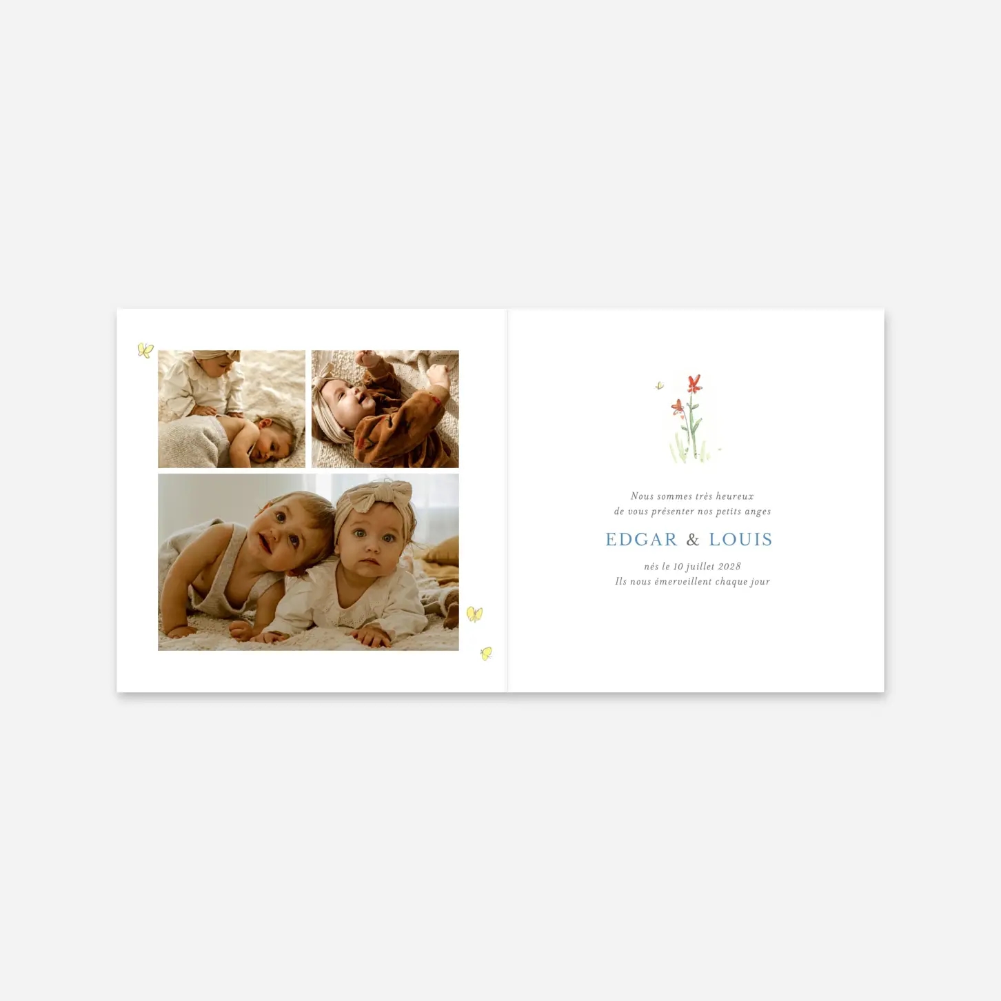 Faire-part naissance Petits lapins jumeaux