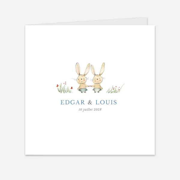 Petits lapins jumeaux