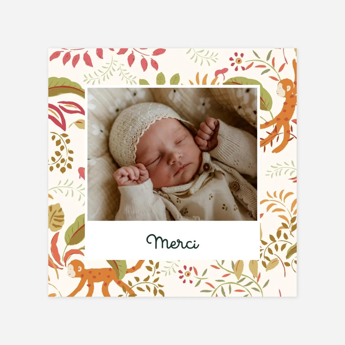 Carte remerciement naissance Petit ouistiti