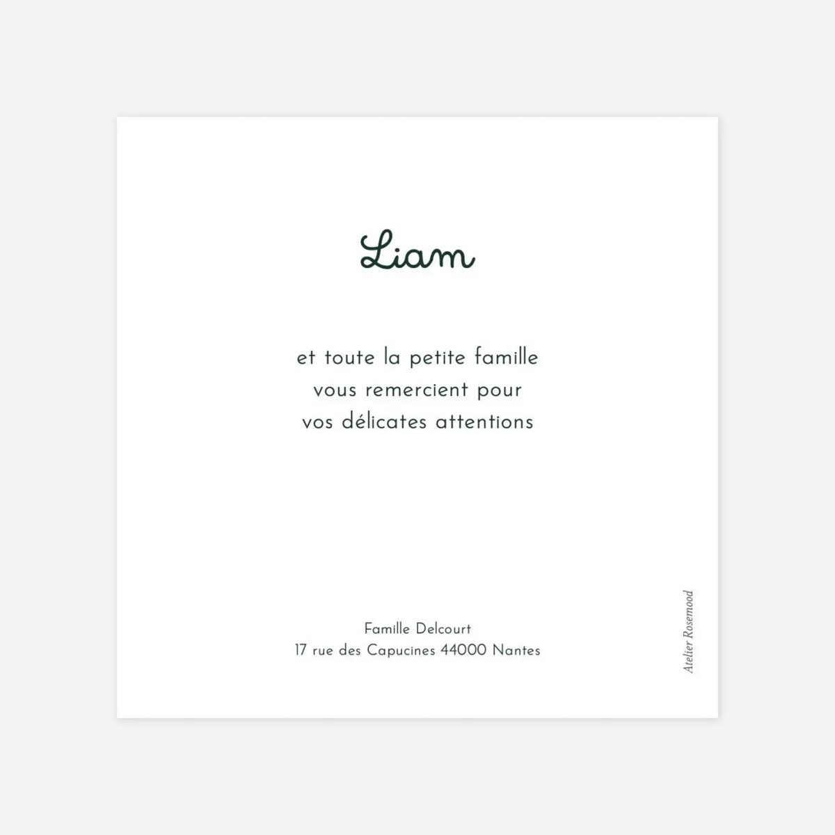 Carte remerciement naissance Petit ouistiti