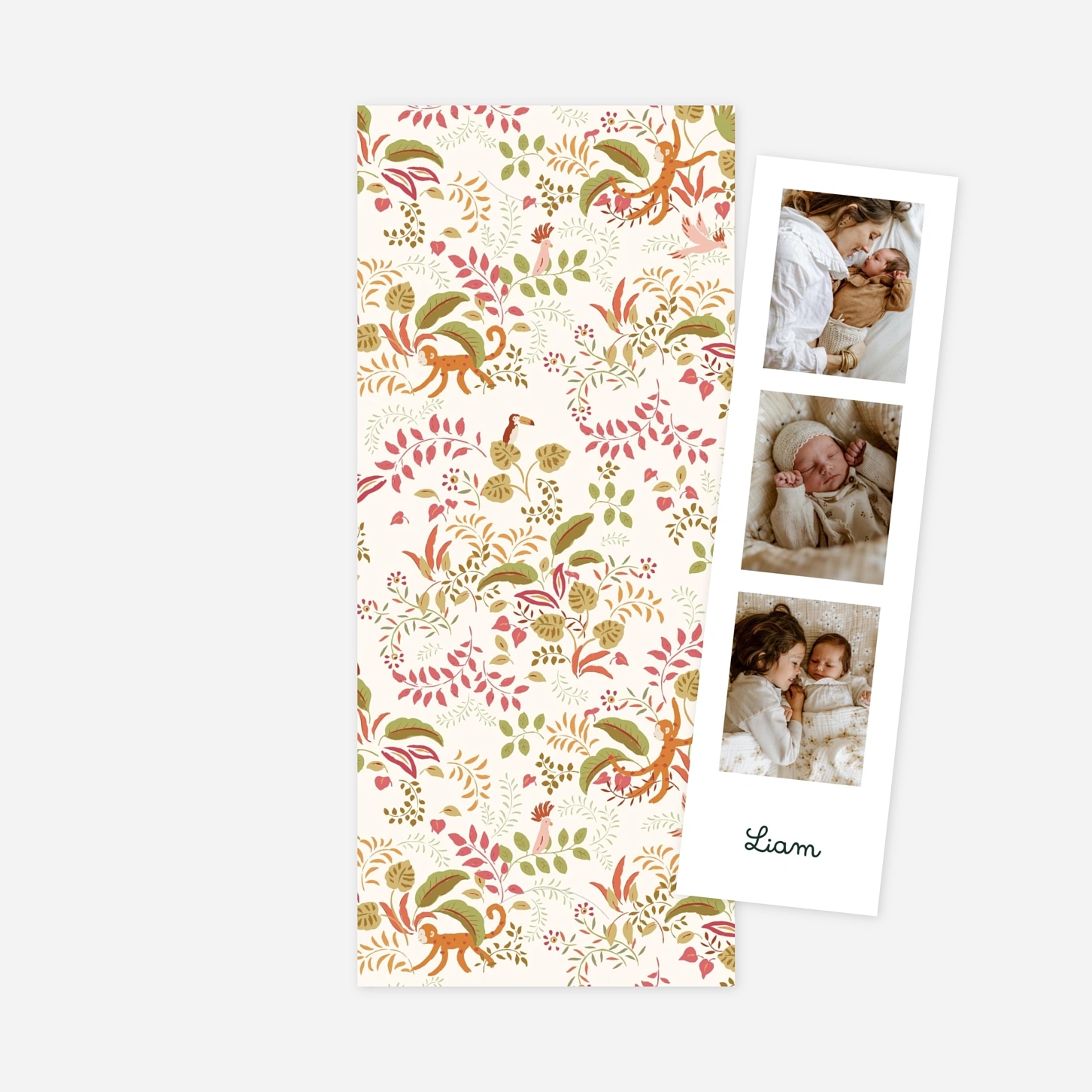 Faire-part naissance Petit ouistiti