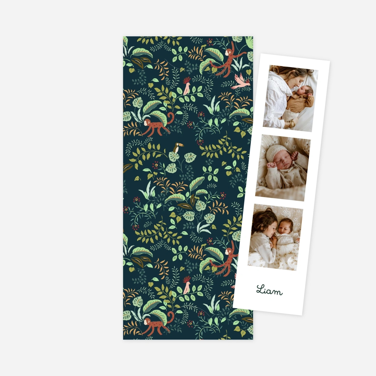 Faire-part naissance Petit ouistiti