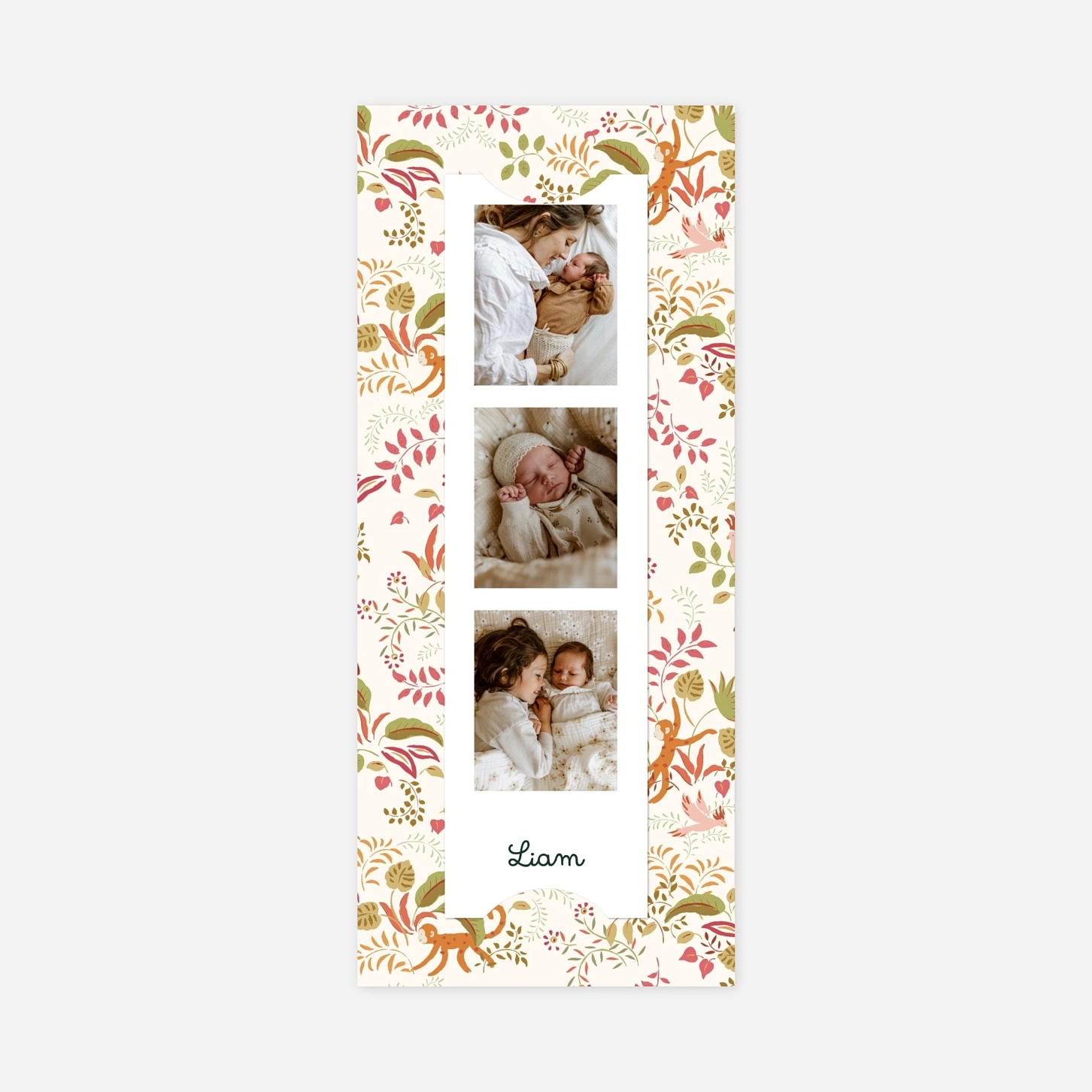 Faire-part naissance Petit ouistiti