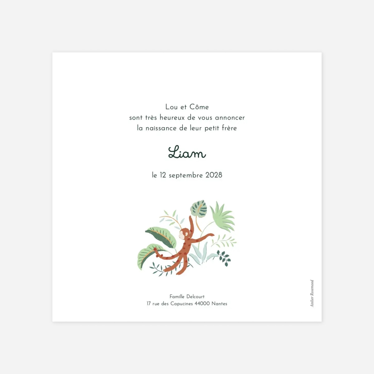 Faire-part naissance Petit ouistiti