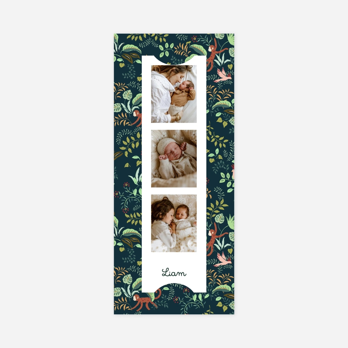 Faire-part naissance Petit ouistiti