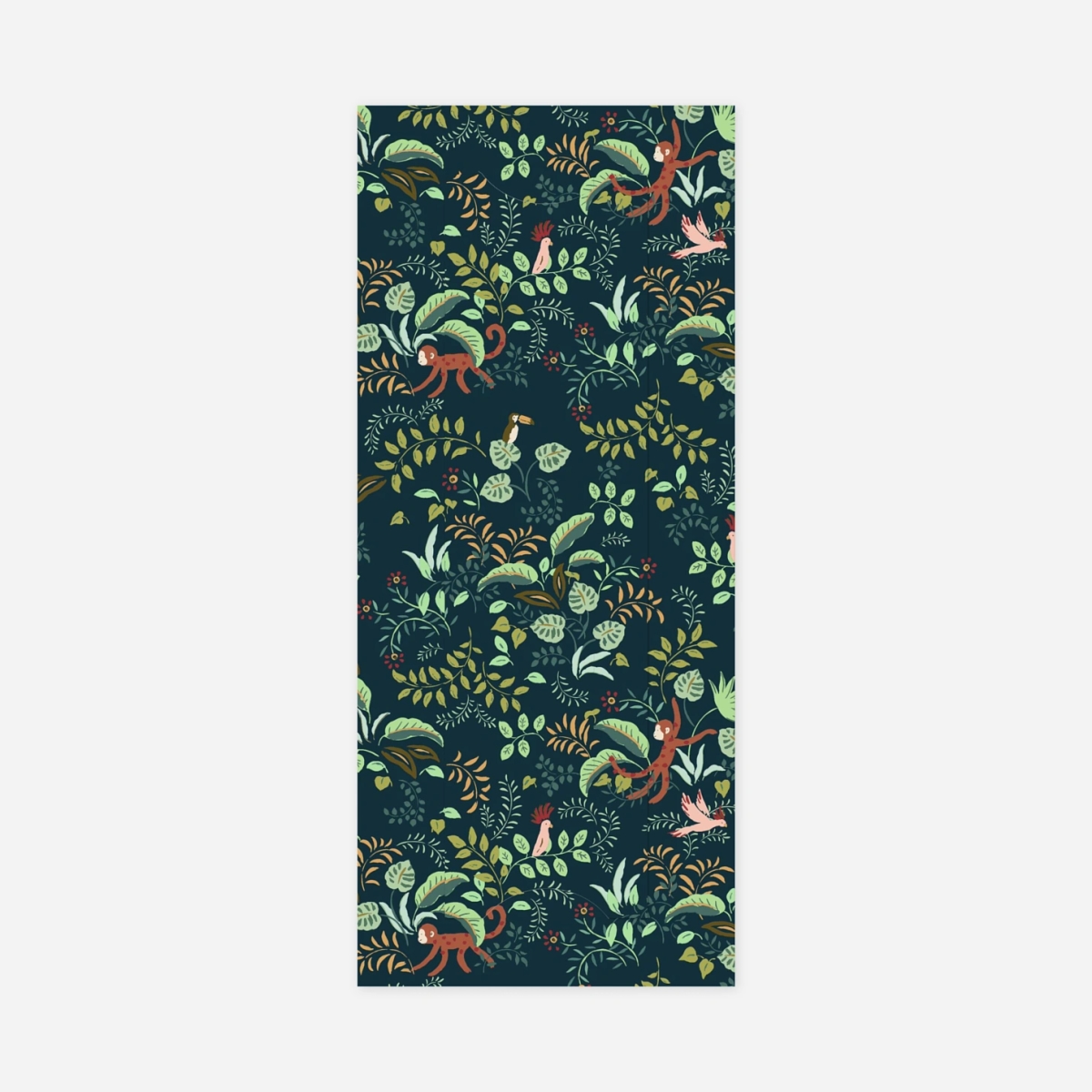 Faire-part naissance Petit ouistiti