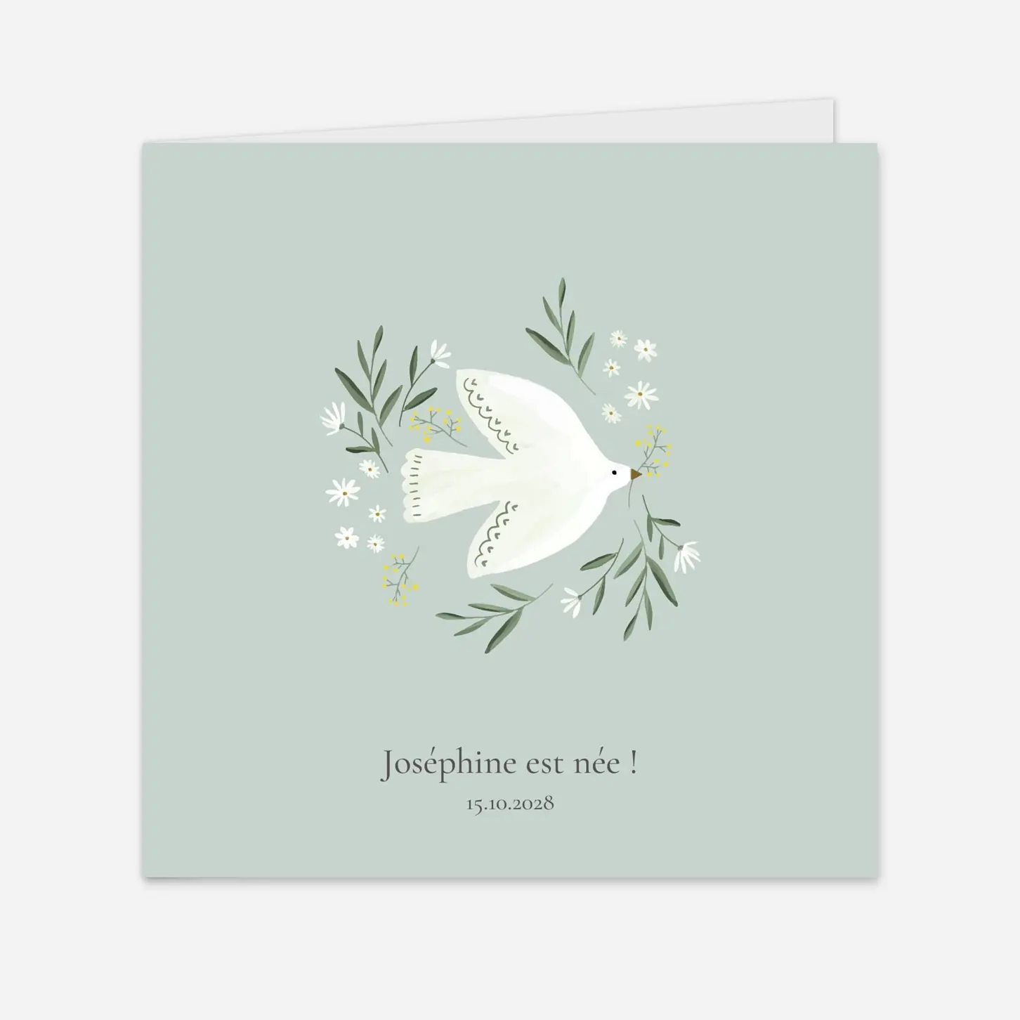 Faire-part naissance Petite colombe