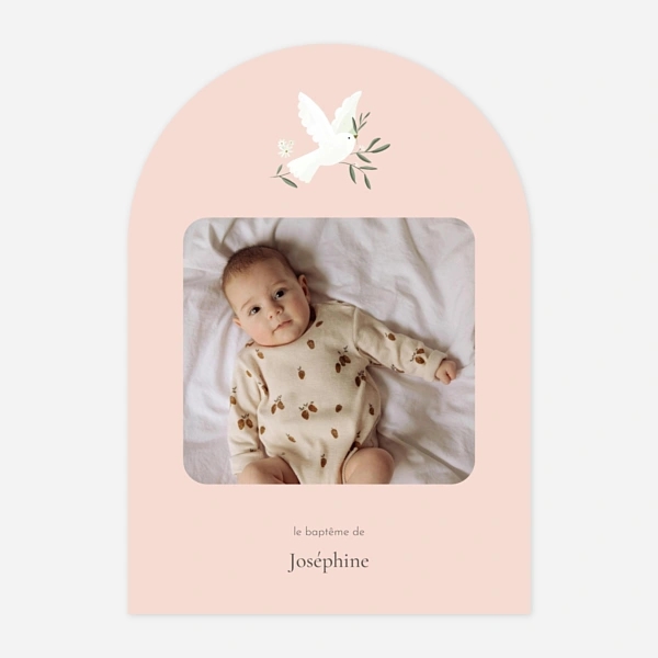 Petite colombe photo