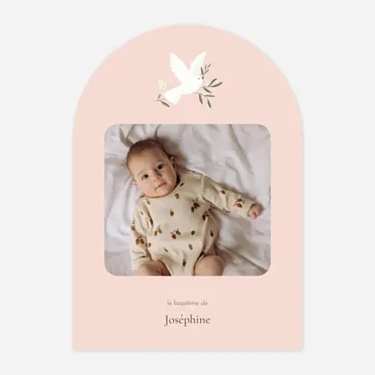 Petite colombe photo