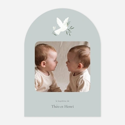 Petite colombe photo II