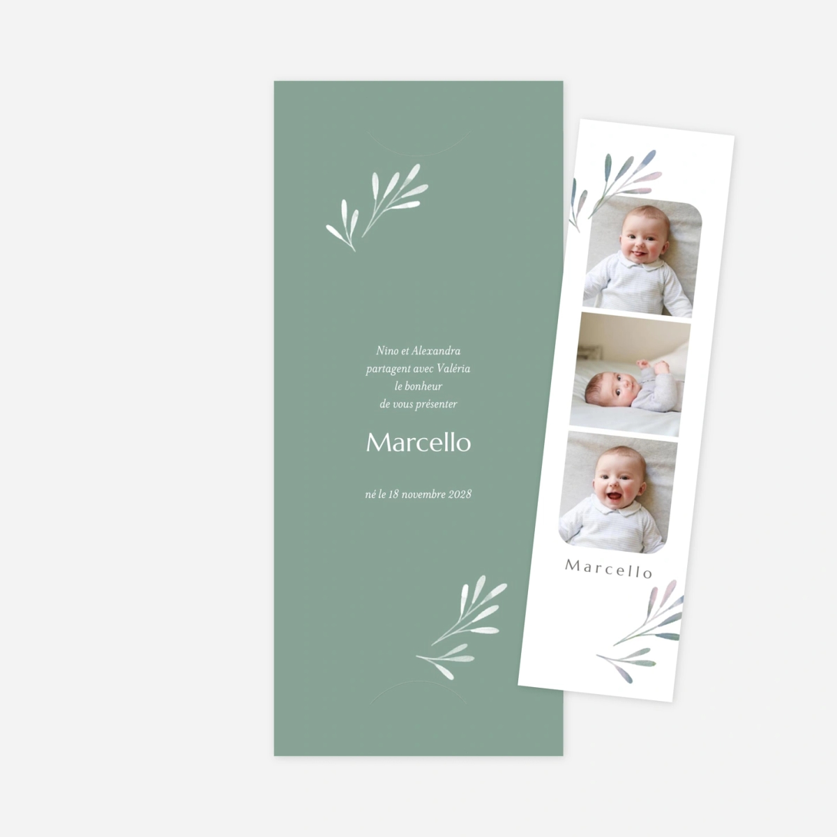 Faire-part naissance Picto végétal