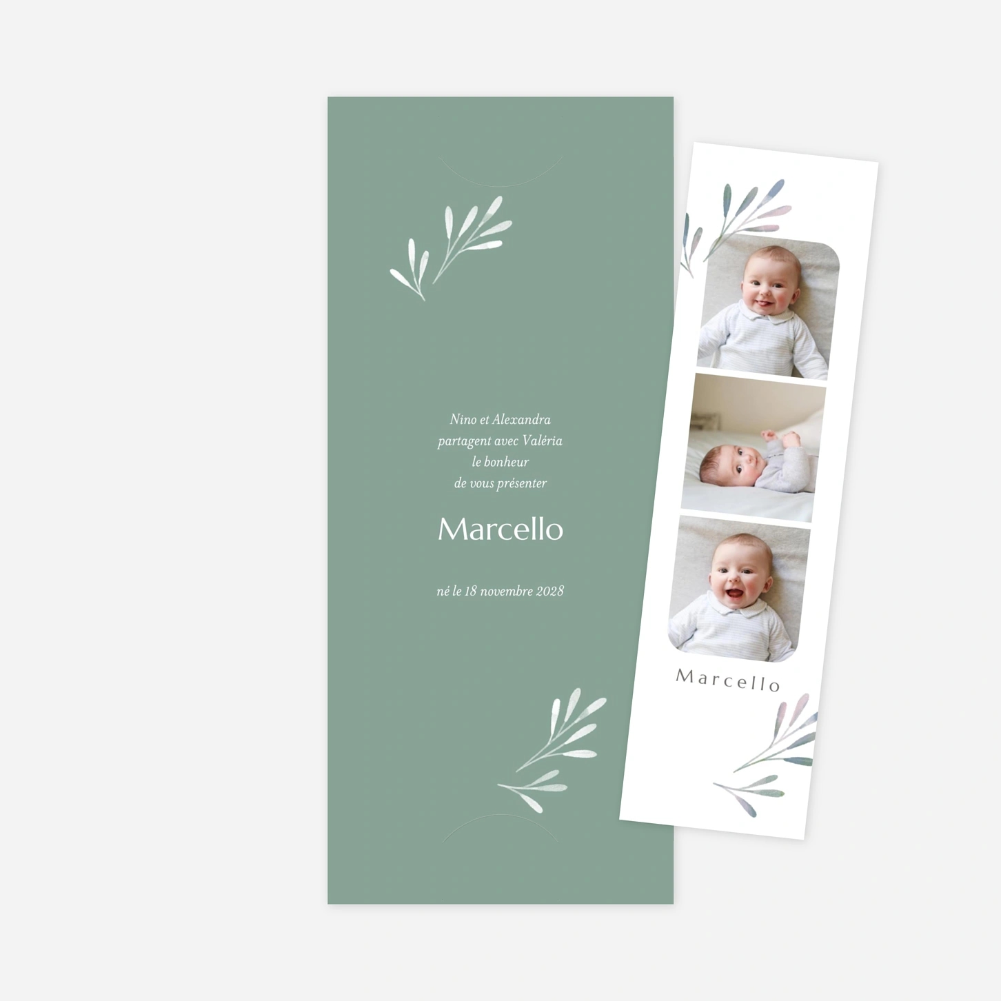 Faire-part naissance Picto végétal