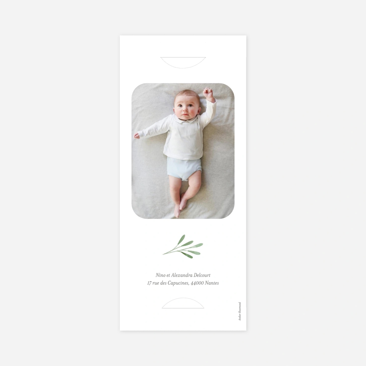 Faire-part naissance Picto végétal