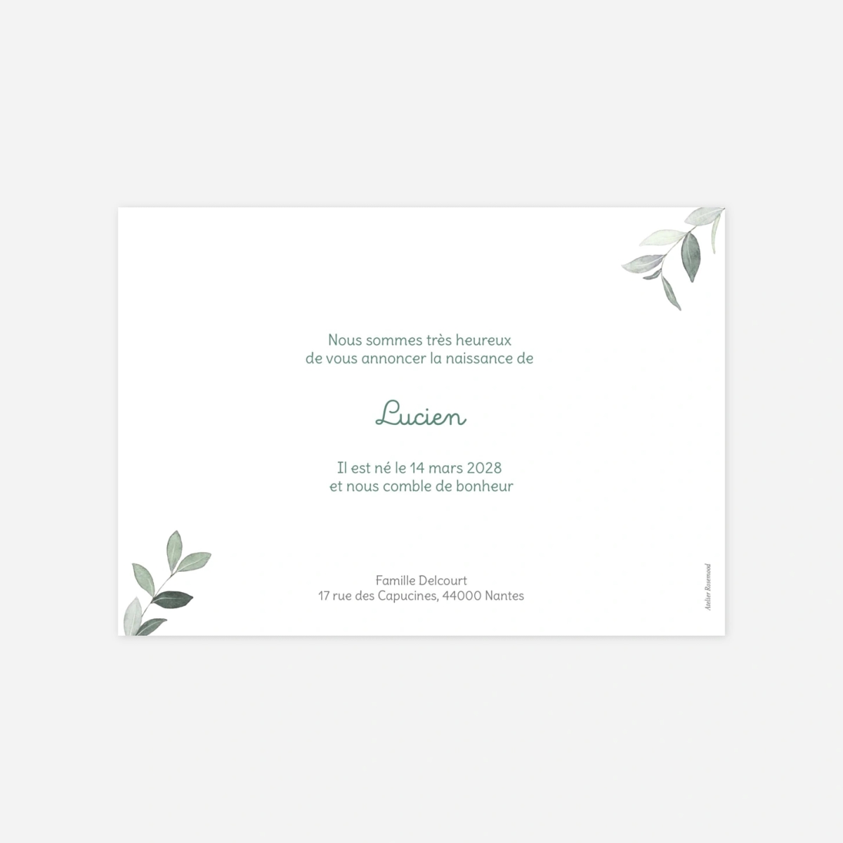 Faire-part naissance Petit Jardin