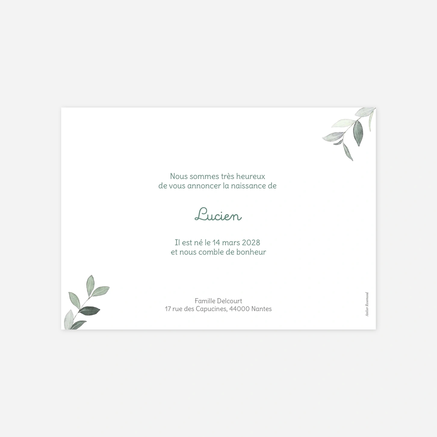 Faire-part naissance Petit Jardin