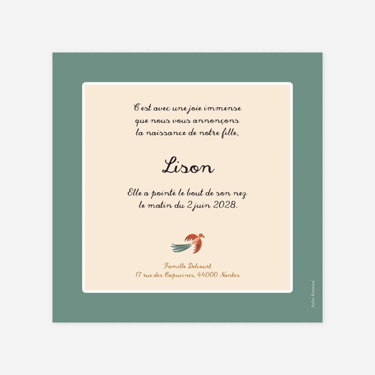 Faire-part naissance Petite jungle pictos