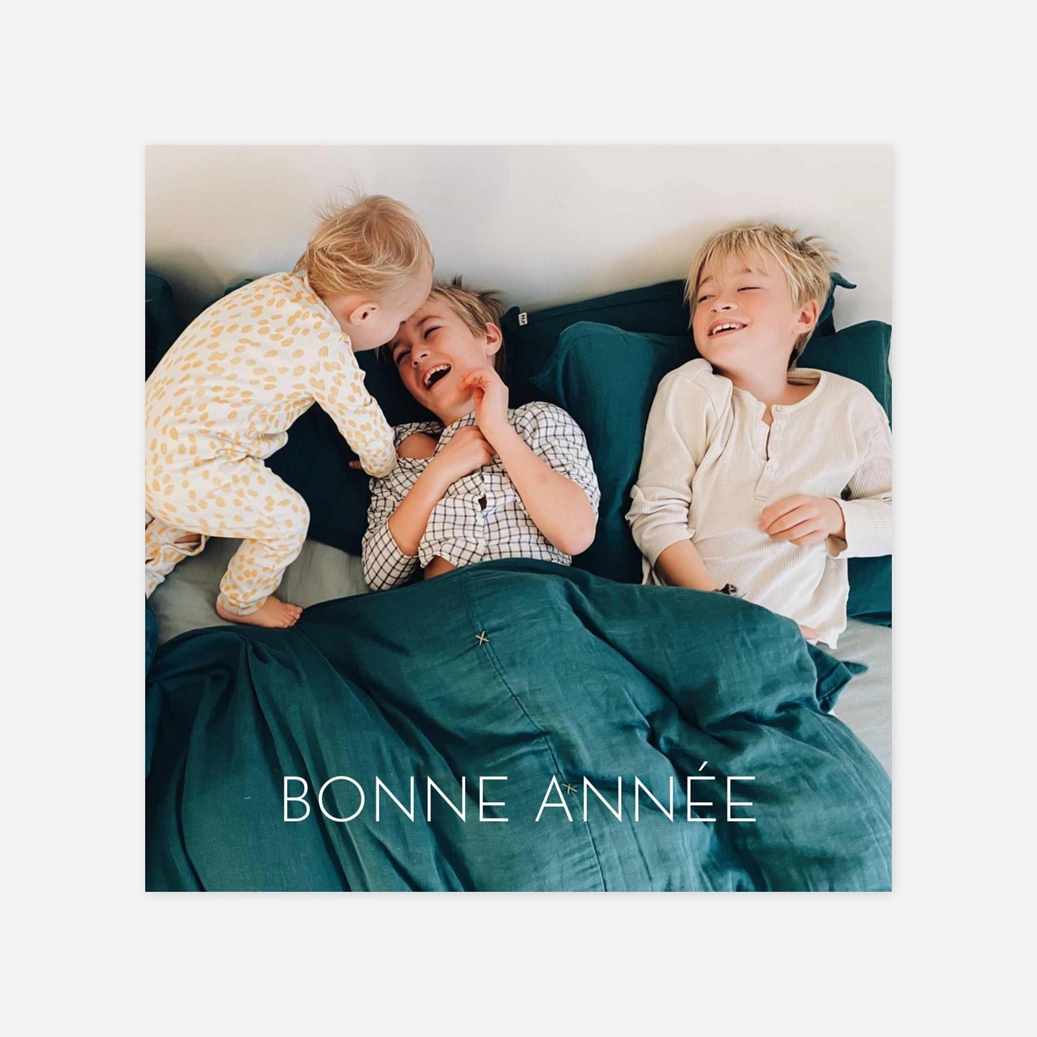 Carte de voeux Plein la vue