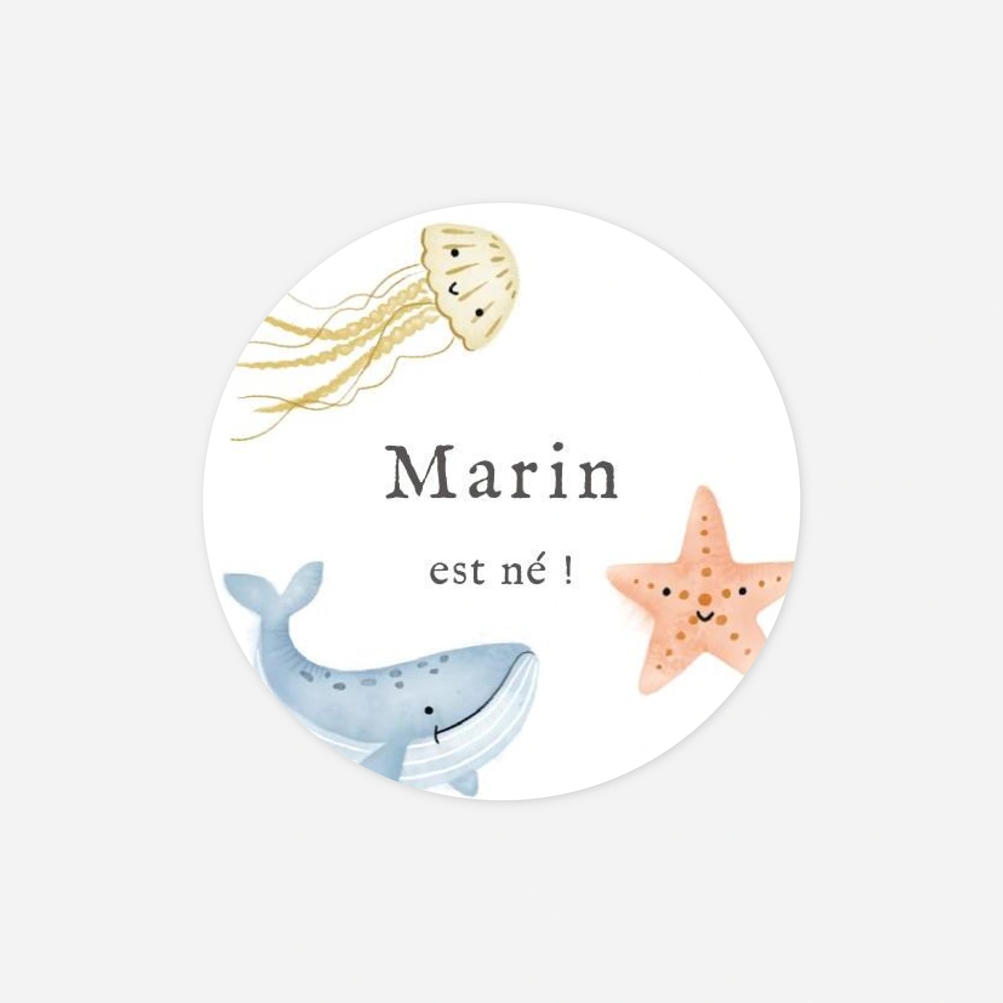Stickers naissance Pictos marins multiphotos