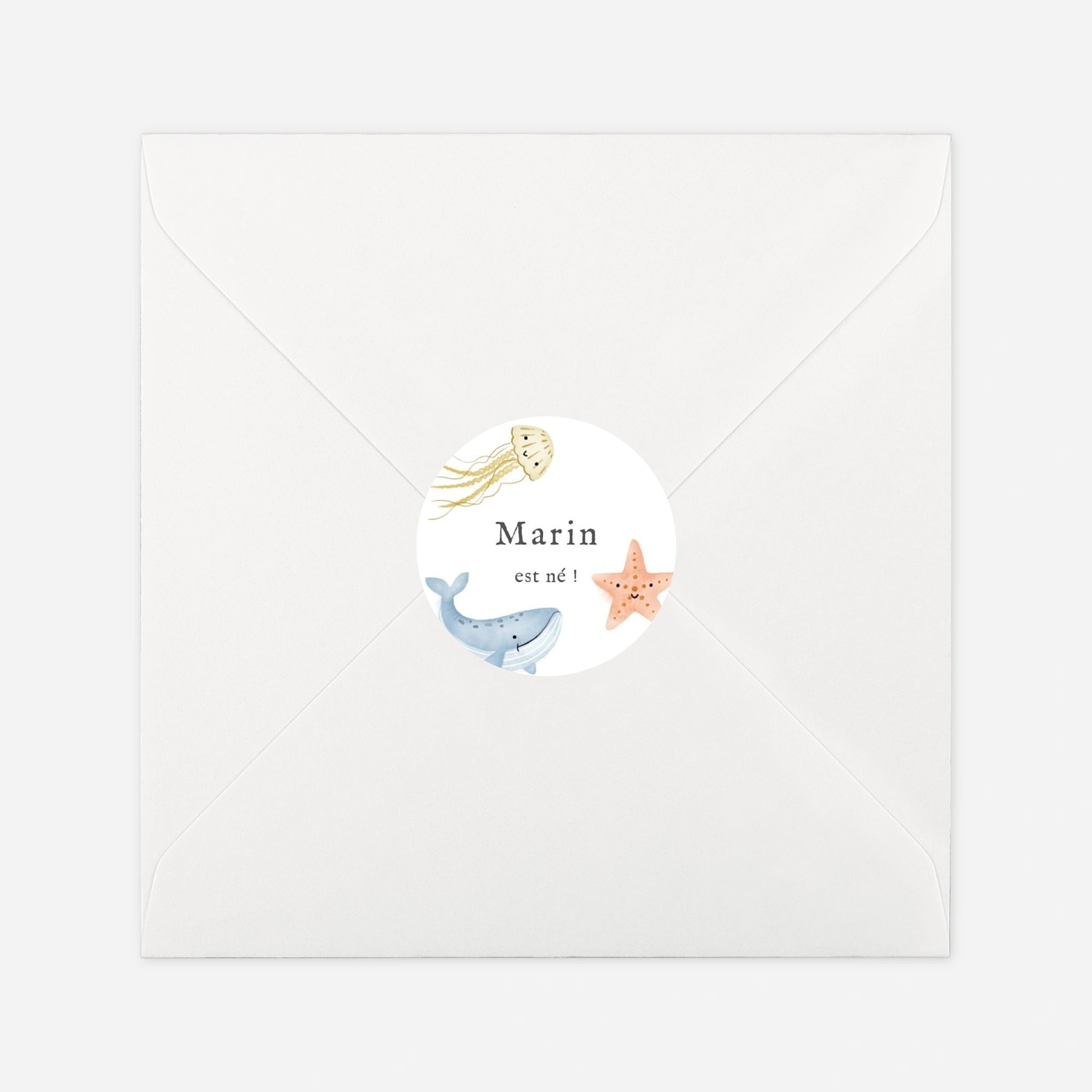 Stickers naissance Pictos marins multiphotos