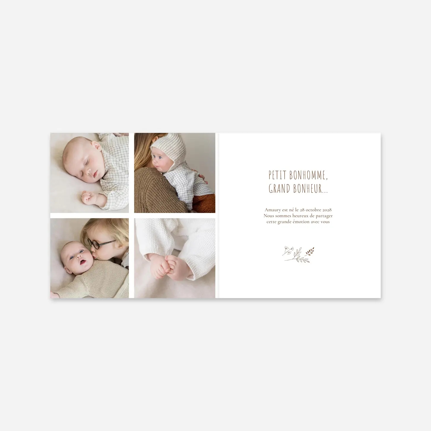 Faire-part naissance Ronde des prés