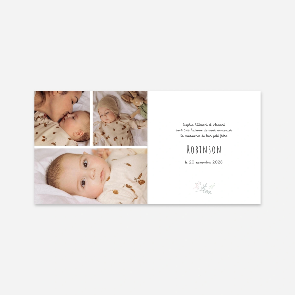 Faire-part naissance Ronde des prés colorée