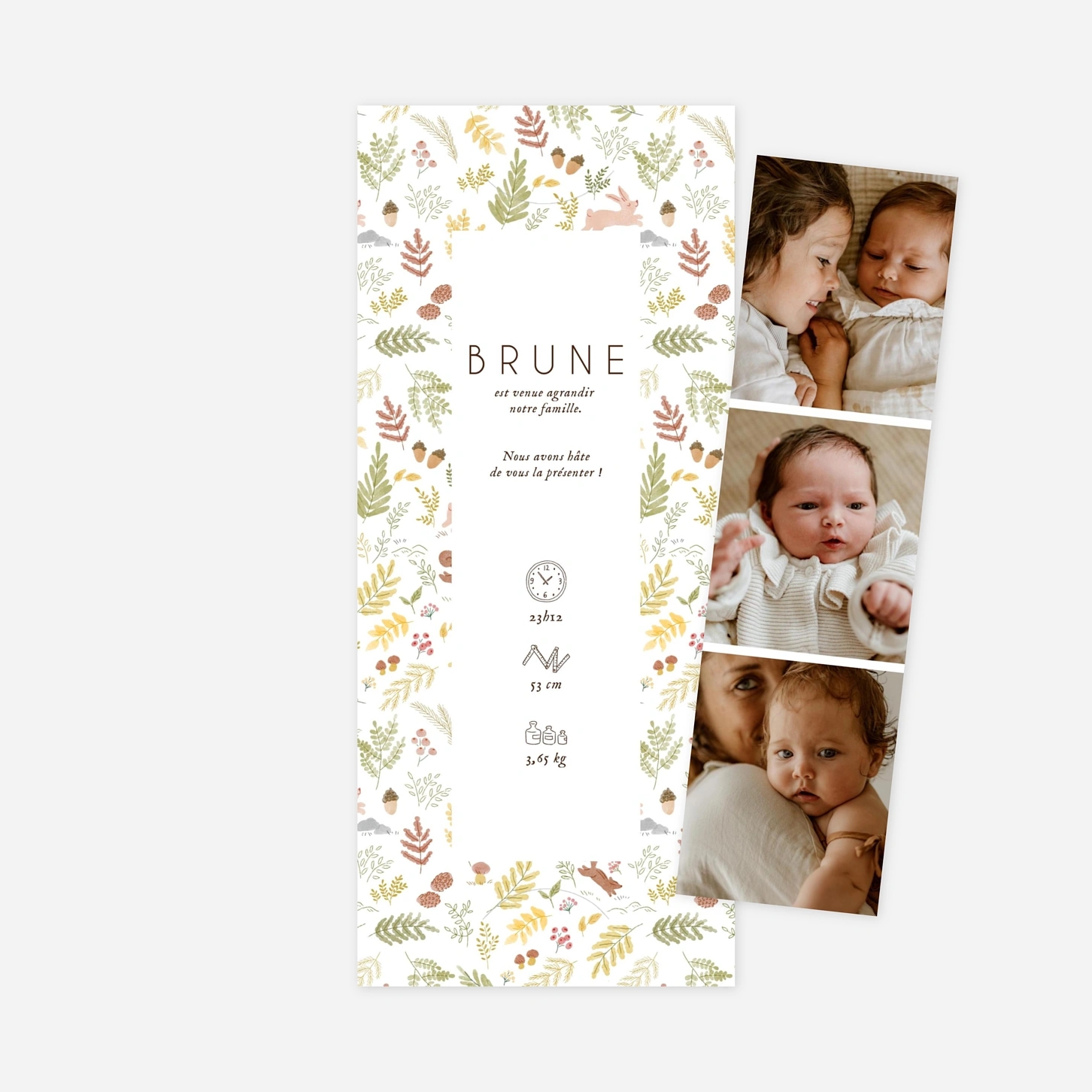 Faire-part naissance Renard aquarelle