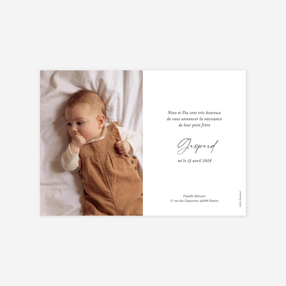 Faire-part naissance Renard