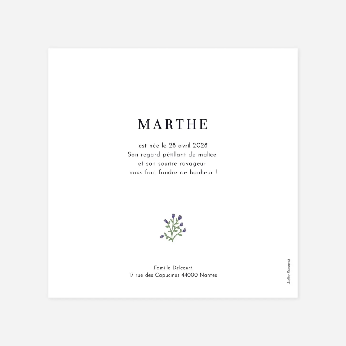 Faire-part naissance Scénette du jardin