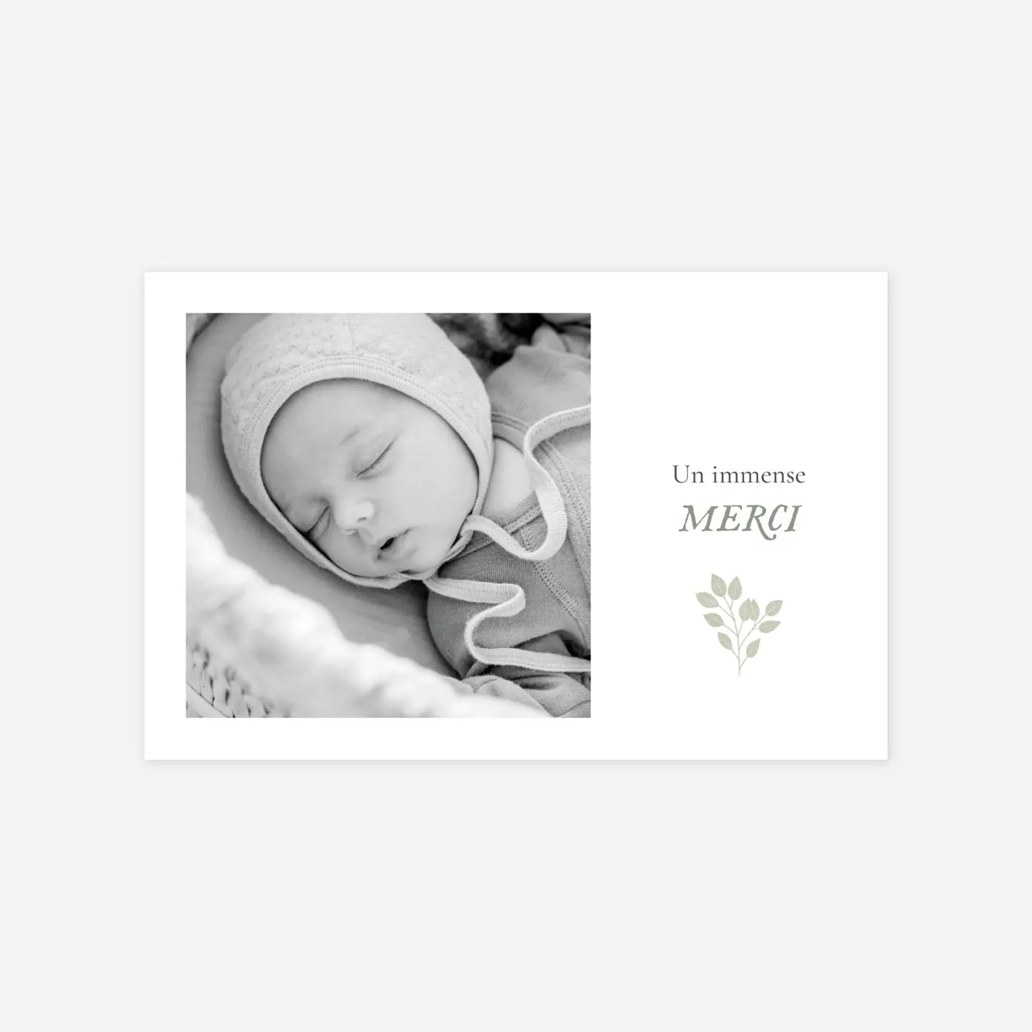 Carte remerciement naissance Signature végétale
