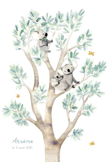 Faire-part de naissance 3 koalas en famille blanc - Recto