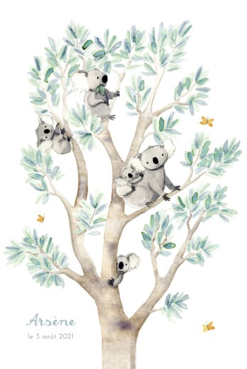 Faire-part de naissance 5 koalas en famille blanc - Recto