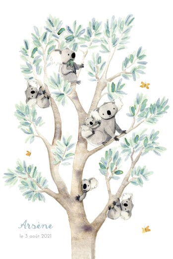 Faire-part de naissance 6 koalas en famille blanc - Recto