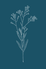 Carton d'invitation mariage Botanique (portrait) bleu