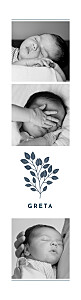 Faire-part de naissance Signature végétale (marque-page) bis bleu