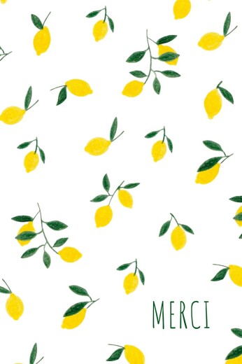 Carte de remerciement Agrumes crayonnés citrons - Recto